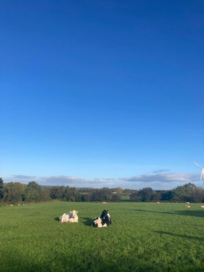 Вилла Benbradagh Barn Dungiven Экстерьер фото